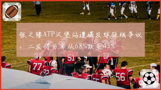 张之臻ATP汉堡站遭遇发球踩线争议,二发得分率从68%跌至45%