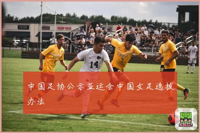 中国足协公示亚运会中国女足选拔办法